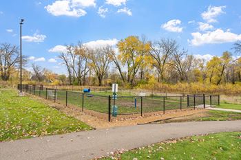 Dog park